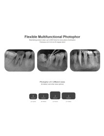 Dimage  Fosfor Plak Tarama Cihazı  D100 